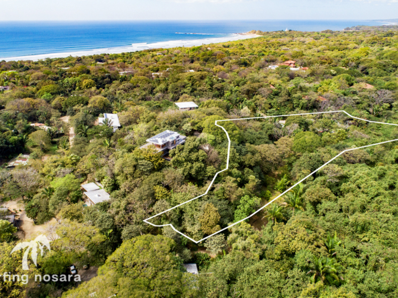 Luxury Homes For Sale Nosara Costa Rica Real Estate Condos